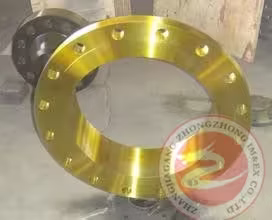 Alloy steel ring flange